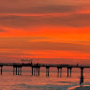 Meet your Posher, Patty